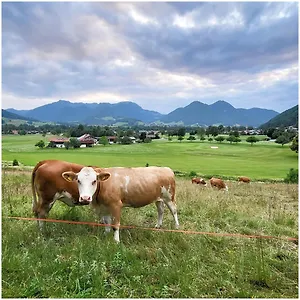 Weitsicht Ruhpolding